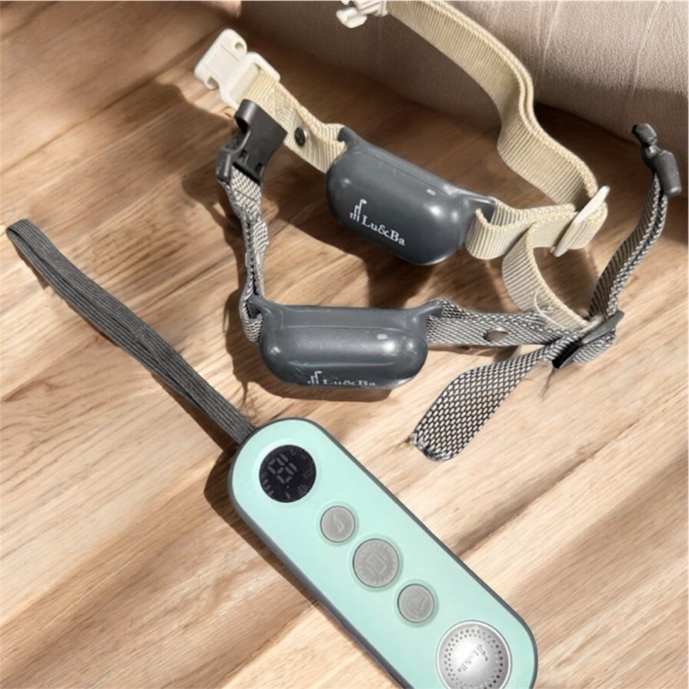 Training collars